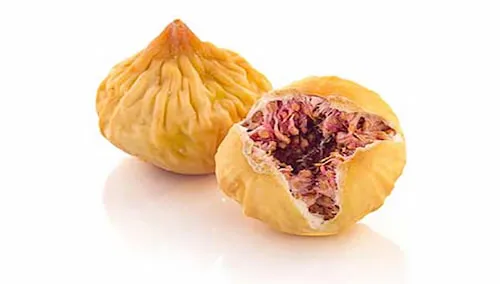 بهترین انجیر خشک معمولی + قیمت خرید عالی